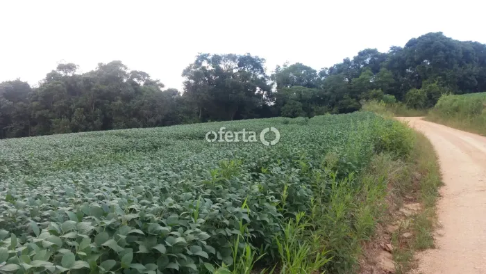 Chácara na Lapa