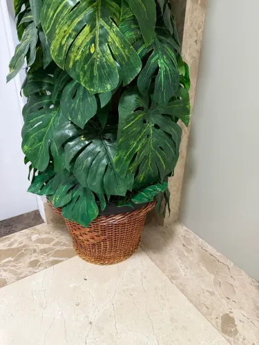 Planta artificial