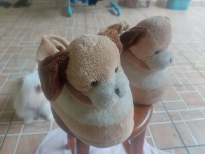 Pantufas fofinhas