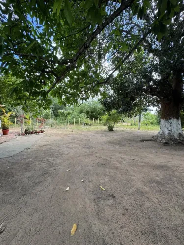 ÁREA RURAL À VENDA NO SIM ? 2,5 TAREFAS COM CASA