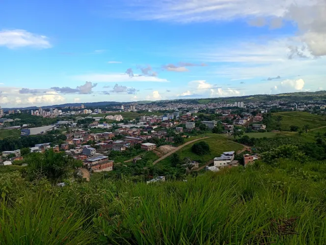 Sítio roça 