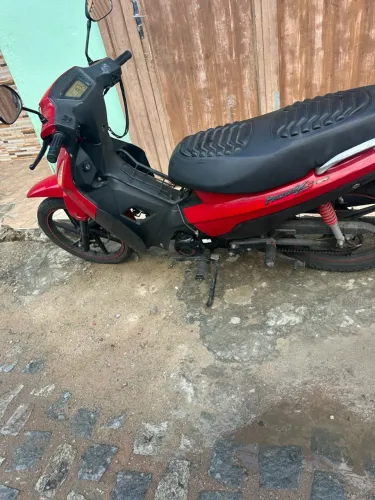 Shineray Phoenix S 50 2025
