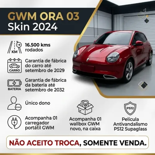 GWM Ora 03 Skin (elétrico) 2024