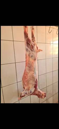 Carne de cordeiro carneiro