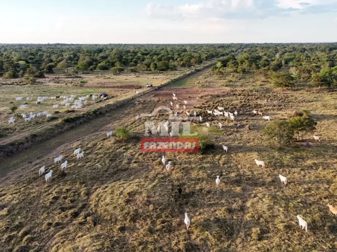 Fazenda 212 Alqueires (1.026 hectares) Nova Crixas - GO