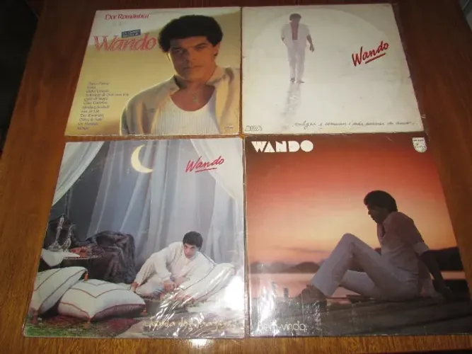 Disco Vinil Lote Wando