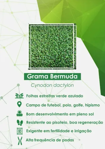 Venha conhecer a melhor grama da região!!