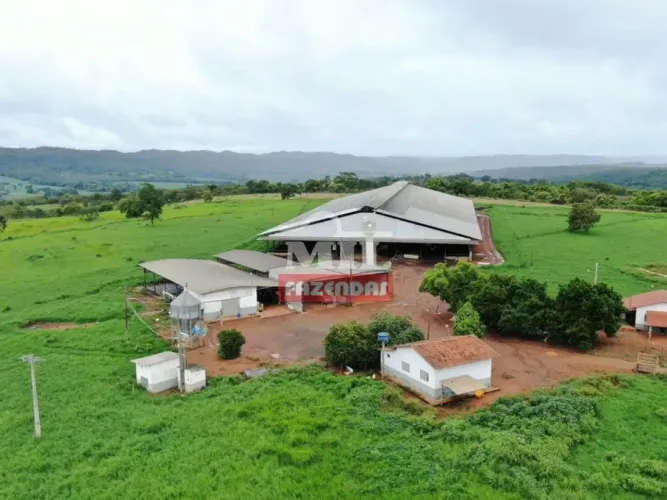 Fazenda 18.38 alqueires (89 hectares). Santa Cruz de Goiás - Go