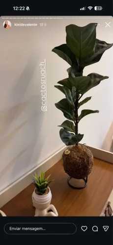 Jaqueta 