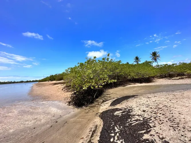 Japaratinga. Área com 8 hectares (80mil metros quadrados), Litoral Norte