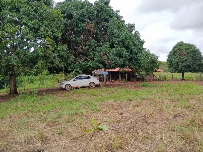 Fazenda 5 Alqueires Pasto e Água Abundante 40km de Palmas