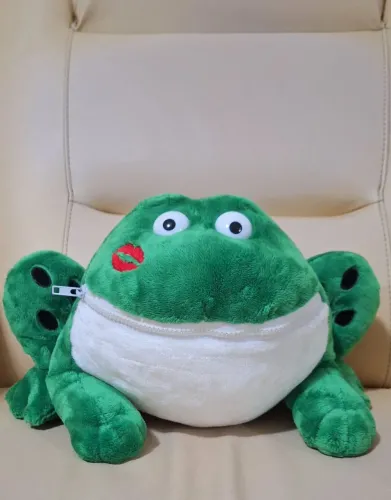 Bicho de pelúcia (sapo) que guarda pijama ou camisola dentro dele. Buscar próximo a Doca.
