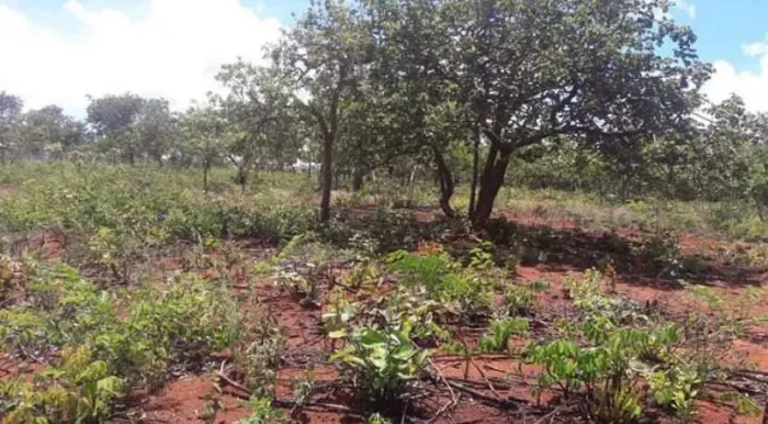 Terreno em condomínio a 13 km de Montes Claros