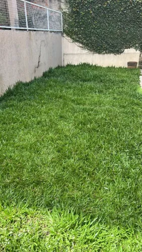 Manutenção de Jardim e Podas de árvores 