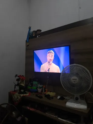 televisão