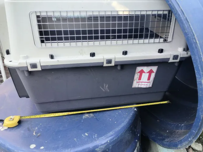 Caixa de transporte de cachorro porte médio grande