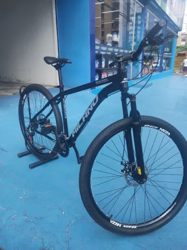 Bicicleta aro 29