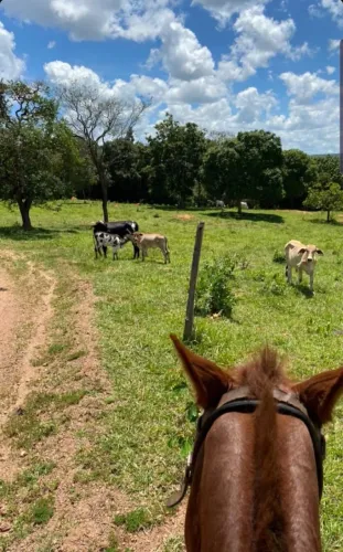 Contrata-se Caseiro para Fazenda - Região de Luziânia/GO