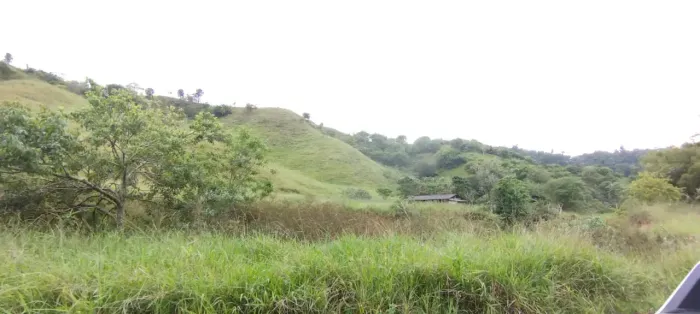 Fazenda em Conceição de Minas - Dionísio - MG