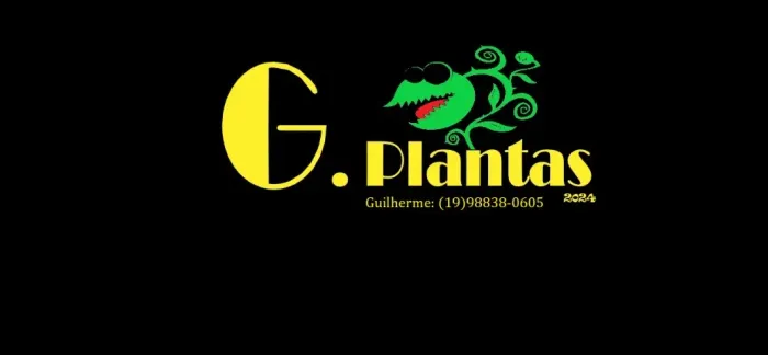 Plantas Naturais, Flores, Folhagens, Material para Jardinagem, Vasos de Ceramica...