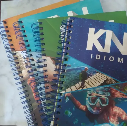 Livros didaticos inglês 