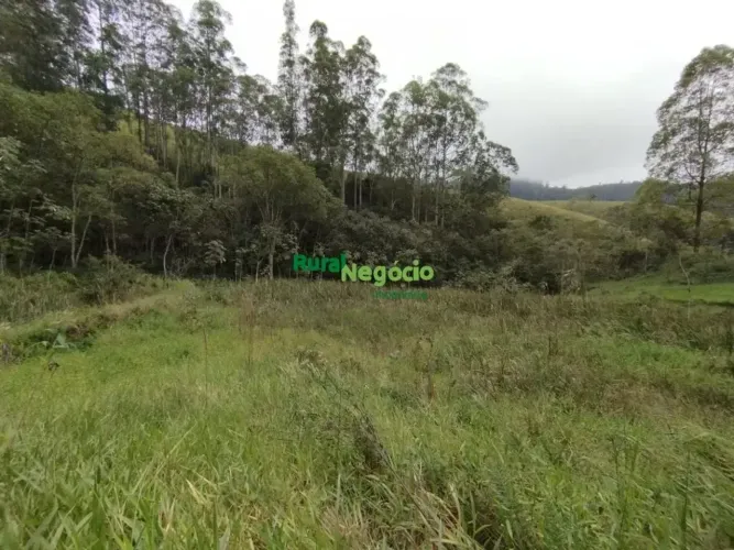 SÍTIO FORMADO RICO EM ÁGUA E PASTO EM PIQUETE-SP