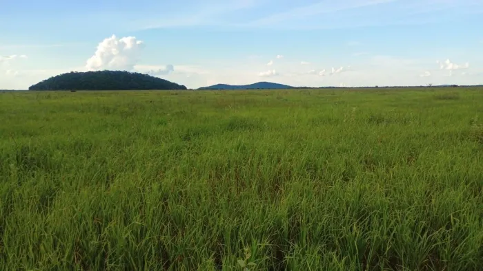 Reserva Ambiental - 550 ha Cerrado