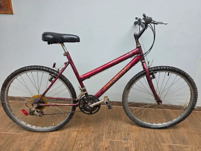 Bicicleta