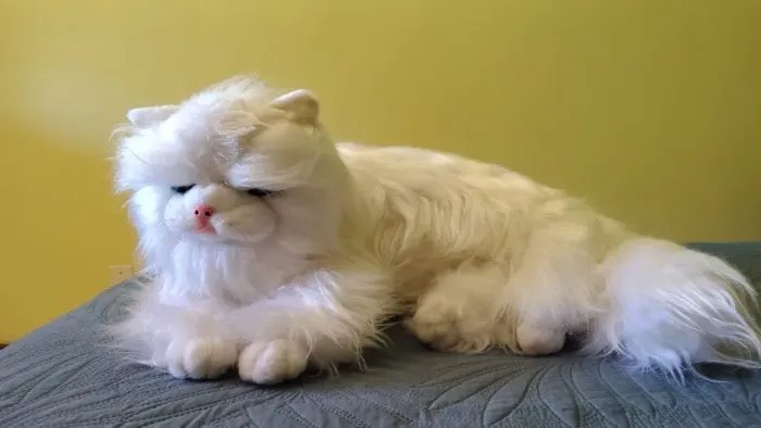 Gato Persa bichinho de Pelúcia