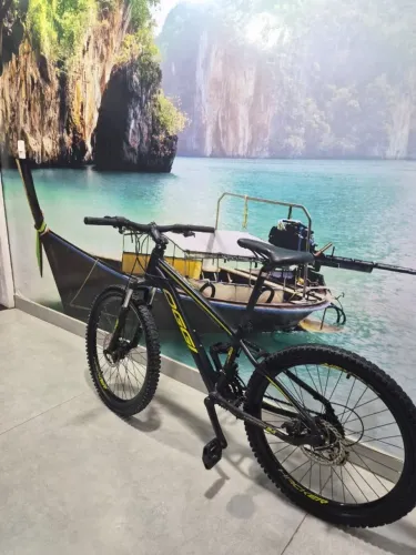 bicicleta