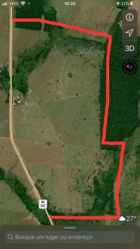 Vendo fazenda 42 alqueires (101,64 Hectares)no Pará beira da BR222