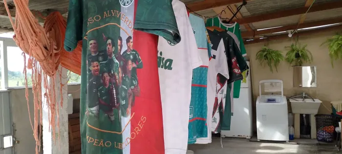 Camisetas do Palmeiras