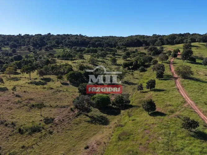 Fazenda 19 Alqueires (93Hectares) Varjão - GO