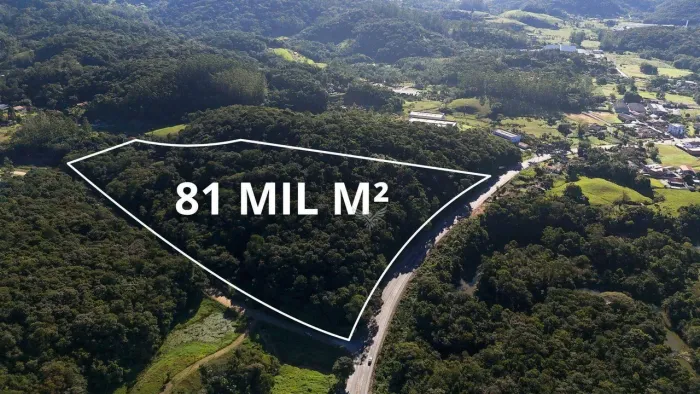 Terreno à venda, 81.533 m² por R$ 2.690.000 - Testo Salto - Blumenau/SC