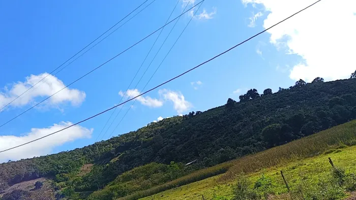 Capina e roçagem de lote