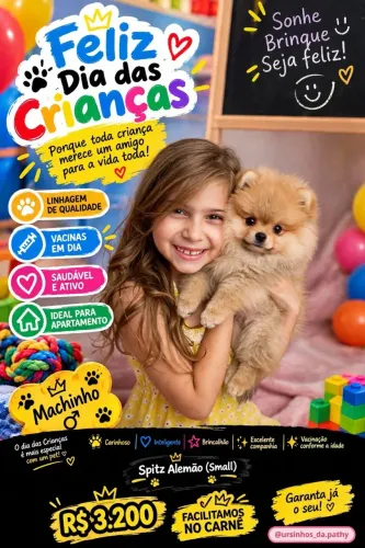 Spitz Alemão laranja claro