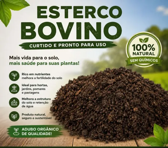 Esterco bovino curtido (por kg)