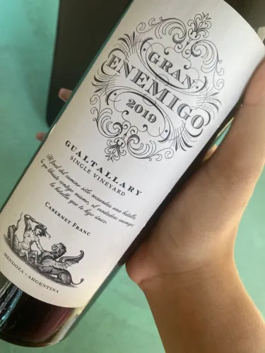 Vinho Gran Enemigo Gualtallary 2019 Cabernet Franc + Estojo