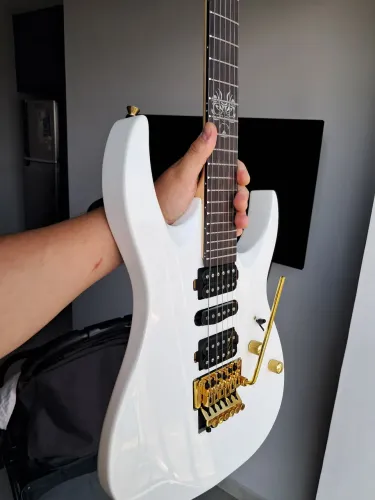 Guitarra Seizi Akuma Gratitude
