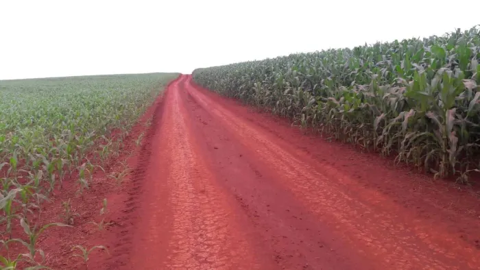 Fazenda 144,38 alqueiro