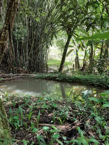 Lote/Terreno para venda tem 146000 metros quadrados em Passa Tres - Rio Claro - RJ