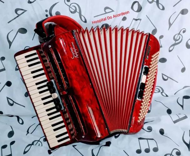  ACORDEON SETTIMIO SOPRANI MODELO AMPLIPHONIC COLETA 120 BXS ITALIANA 