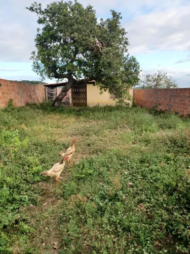 Sítio ou Lotes - São Cristóvão-SE 