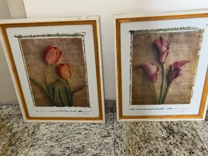 Par de quadros decorativos