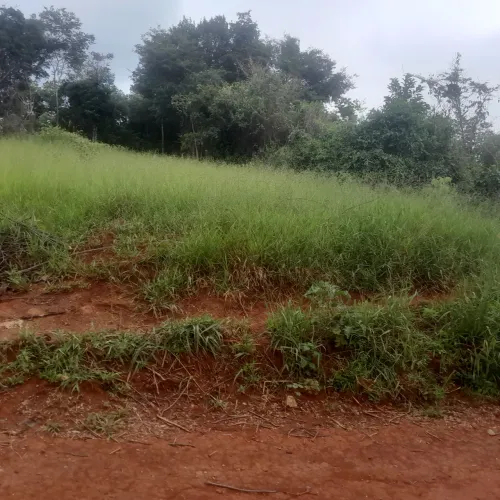 Lotes de 300 mts