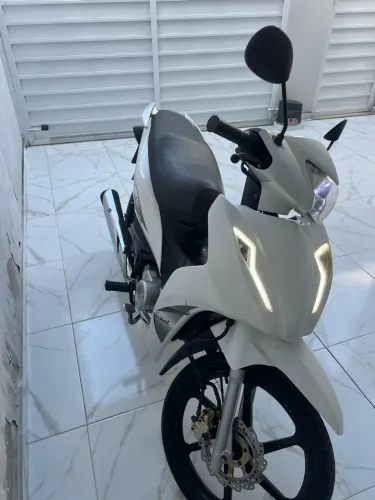 Vendo avelloz bastante conservada