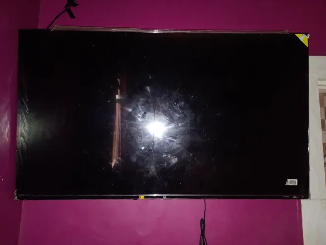 Televisão