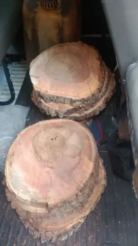 Venda de bolacha de madeira faze Tauba de carne ZAP *