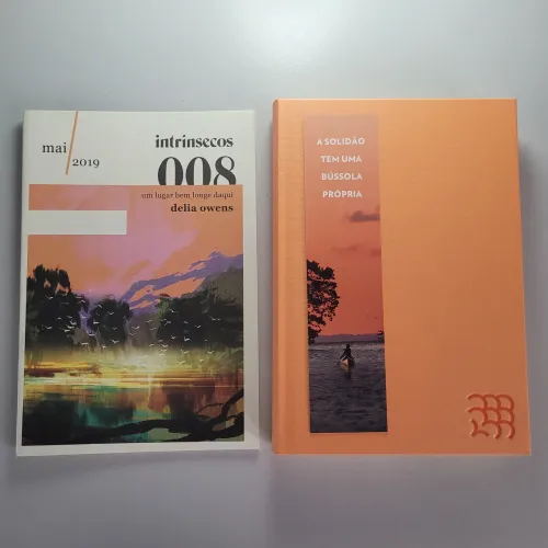 Livro Um Lugar Bem Longe Daqui - Clube Intrínsecos 008