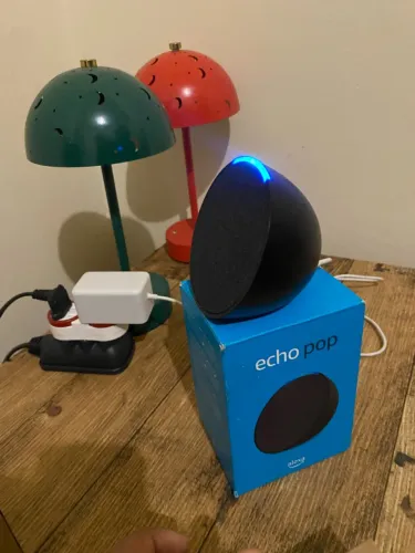 Alex pop echo
